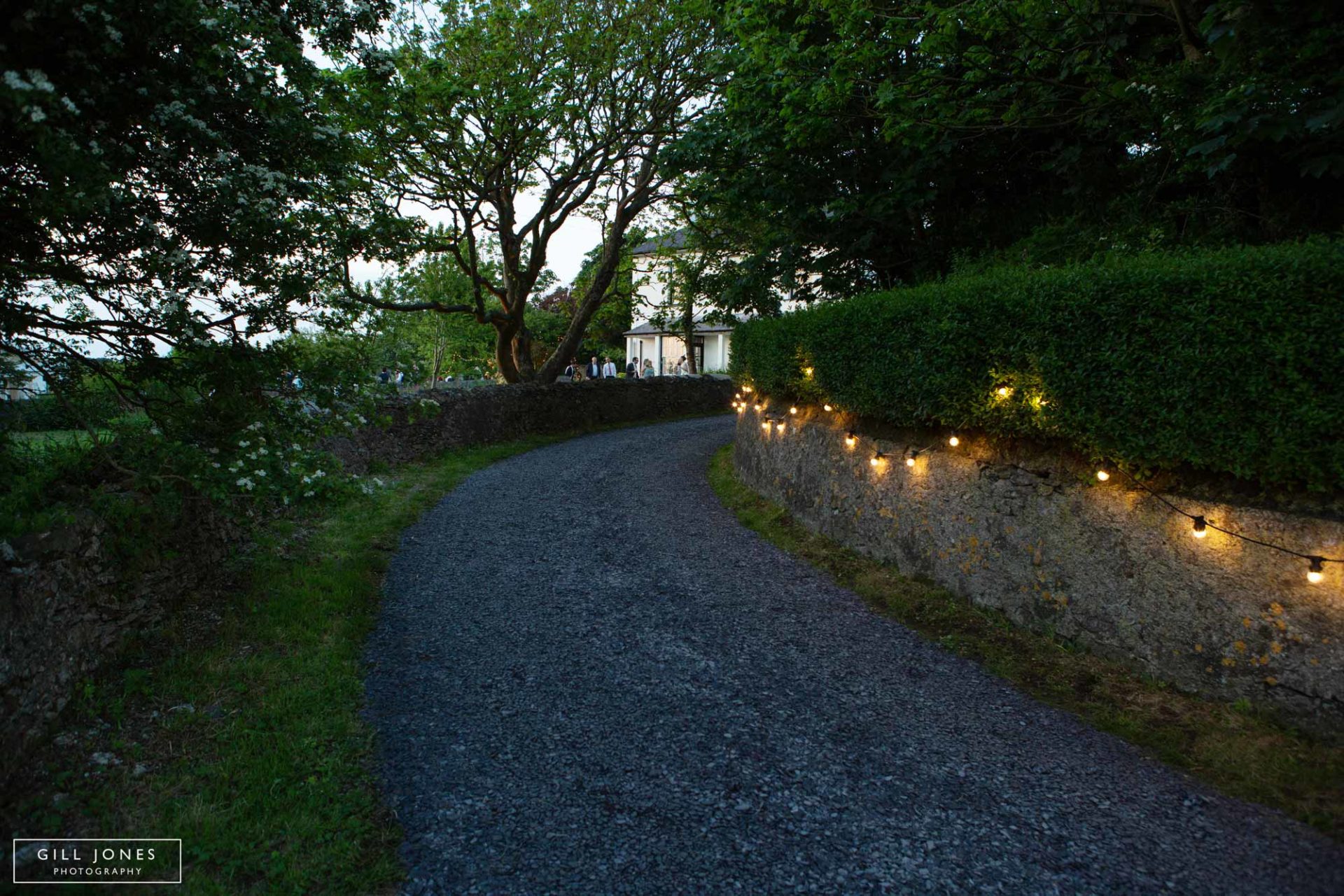 lights leading up to the bride and groom's house