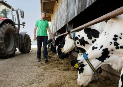 a farmer walk with his cows to the left and his tractor to the right by Anglesey commercial photographer Gill Jones photography