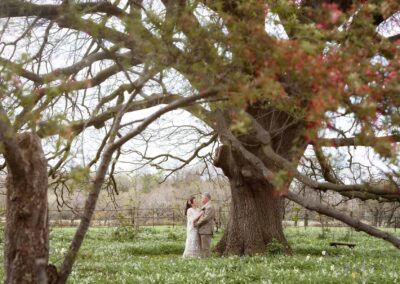 a mature bride and groom stand at the foot of a large tree with blossom in the foreground by Anglesey photographer Gill Jones Photography