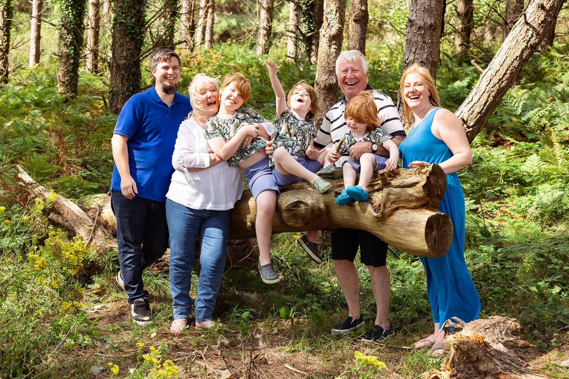 three generations of a family sitting on and around a tree stump in woodland by Anglesey family photographer Gill Jones Photography